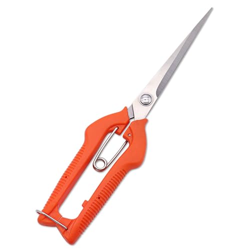 Ergonomische Gartenschere Leichte Blumenschere Fruchtbeschnitten Für Effizientes Und Formendes Home Professional Nutzung Gartenbauwerkzeug Ergonomische Gartenschere Leichte Blumenschere Fruchtbeschnitten Für Effizientes Und Formendes Home Professional Nutzung Gartenbauwerkzeug von BUBEFSKD