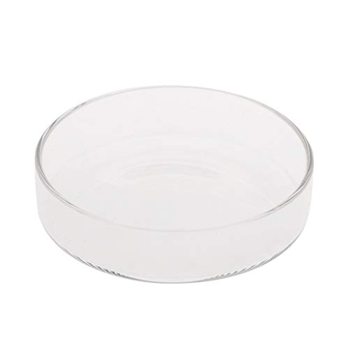 BUBEFSKD Garnelenfuttermittelschale Glas Fütterungsschale Aquarium Fisch Für Tankreptilien Runde Lebensmittelschale 3 9 Zoll. BUBEFSKD Garnelenfuttermittelschale Glas Fütterungsschale Aquarium Fisch Für Tankreptilien Runde Lebensmittelschale 3 9 Zoll. von BUBEFSKD
