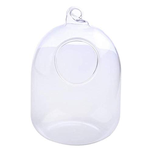 Hängende Transparente Hängende Glasfisch Für Tank Flaschenflasche Aquarium Blumenpflanze Vase Für Home Dekoration Glas von BUBEFSKD