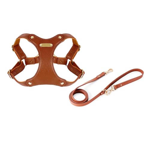 BUBEFSKD Hunde Training Kabelbaum & Leine Walking Pet Brust Training Weste Schnellveröffentlichung Einfache Kontrollweste Und Wandern von BUBEFSKD