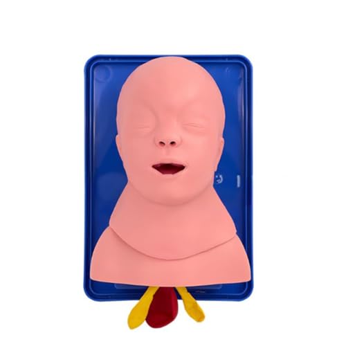Säuglingsintubationstraining Modell Menschliches Organ Baby Airway Simulator Tracheal Intubation Manikin Trachealmodell Säuglingsintubationstraining Modell Menschliches Organ Baby Airway Simulator Tracheal Intubation Manikin Trachealmodell von BUBEFSKD