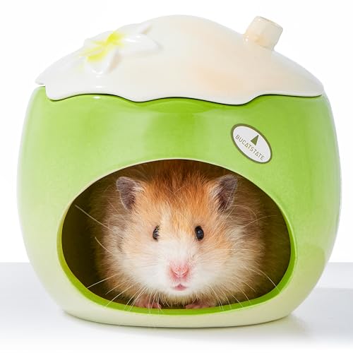 BUCATSTATE Hamster Versteck aus Keramik in Kokosnuss-Form, geeignet für Zwerghamster, Mäuse, Syrische Hamster, Rennmäuse, Goldhamster und andere Kleintiere (Grün – Groß) von BUCATSTATE