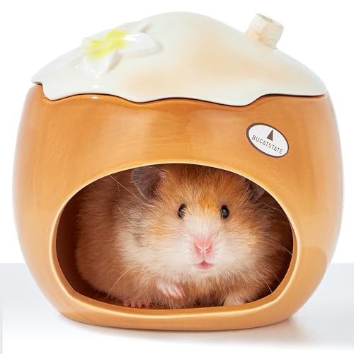 BUCATSTATE Hamster Versteck aus Keramik in Kokosnuss-Form, geeignet für Zwerghamster, Mäuse, Syrische Hamster, Rennmäuse, Goldhamster und andere Kleintiere (Braun – Groß) BUCATSTATE Hamster Versteck aus Keramik in Kokosnuss-Form, geeignet für Zwerghamster, Mäuse, Syrische Hamster, Rennmäuse, Goldhamster und andere Kleintiere (Braun – Groß) von BUCATSTATE