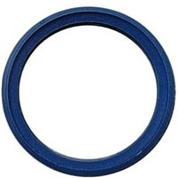 Bosch Ersatzteil ttnr: 7096475 Lippendichtung DN80 (blau) von JUNKERS BOSCH