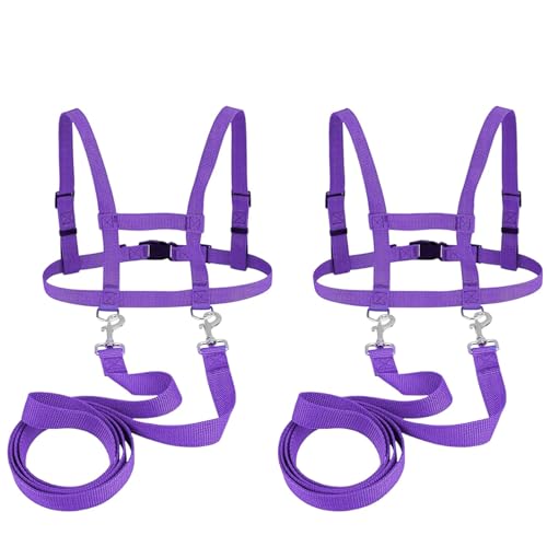 2er-Set Pferdeleine zum Spielen für Kinder, mehrfarbige Kinderleine, verstellbare Pferdeleine, Pferdeleine Kinder, geeignet für Skifahren, Rollenspiele, für Jungen und Mädchen zum Spielen(Lila) von BUERPINKING