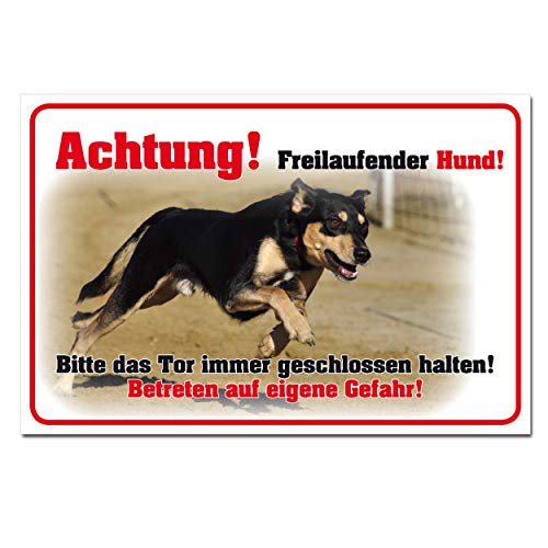 Hinweisschild Achtung freilaufender Hund Gefahr Gebäudeschutz Hartschaum 30 x 20 cm von BUEWA Schilder