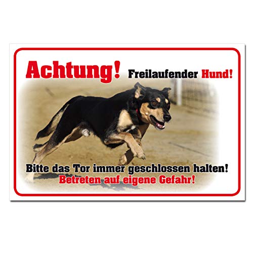 Hinweisschild Achtung freilaufender Hund Gefahr Gebäudeschutz Hartschaum 30 x 20 cm Hinweisschild Achtung freilaufender Hund Gefahr Gebäudeschutz Hartschaum 30 x 20 cm von BUEWA Schilder