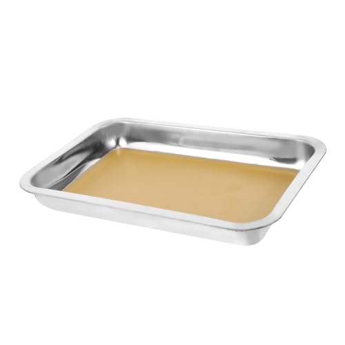 BUGUUYO Edelstahl Dissektionstablett Wachstablett für Biologische Experimente Rostfreies Dissecting Tray Seziertablett für Labor und Anatomie BUGUUYO Edelstahl Dissektionstablett Wachstablett für Biologische Experimente Rostfreies Dissecting Tray Seziertablett für Labor und Anatomie von BUGUUYO
