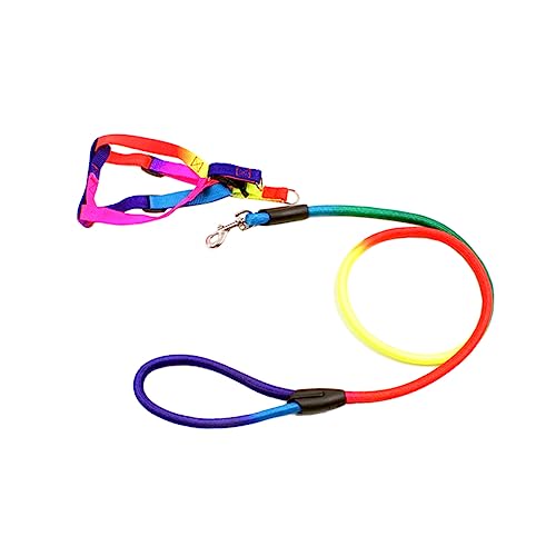 BUGUUYO Hundegeschirr Haustier-Zugseil Regenbogen-Leine Bequeme Hundeleine aus Nylon verstellbares Geschirr stilvoll für bis große Hunde von BUGUUYO