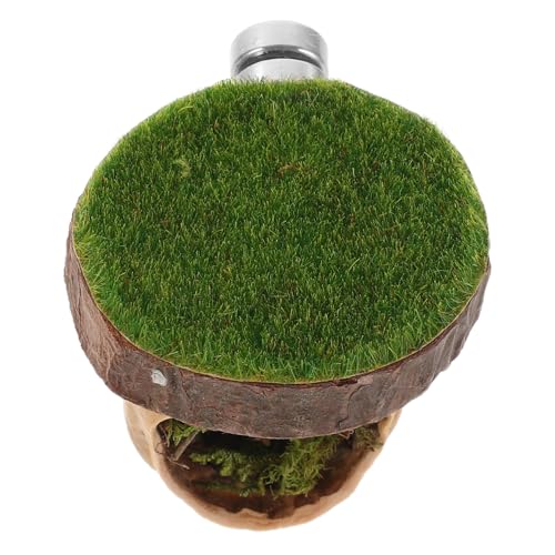 BUGUUYO Magnetisches Versteck aus Walnussholz mit Kletterplattform und Zaun für Kleine Haustiere Geckos und Springspinnen Installieren und Gesundheitsfördernd BUGUUYO Magnetisches Versteck aus Walnussholz mit Kletterplattform und Zaun für Kleine Haustiere Geckos und Springspinnen Installieren und Gesundheitsfördernd von BUGUUYO