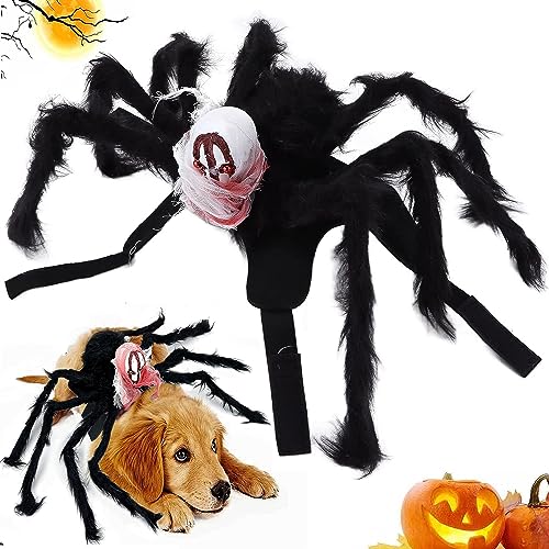Halloween-Spinnen-Kostüme für Hunde, Halloween Spinnenkostüm für Hund Katze,Hundekostüm Halloween Katze, Spinnenkostüm für Kleine mittelgroße Hunde und Katzen (M) von BUKYCAT