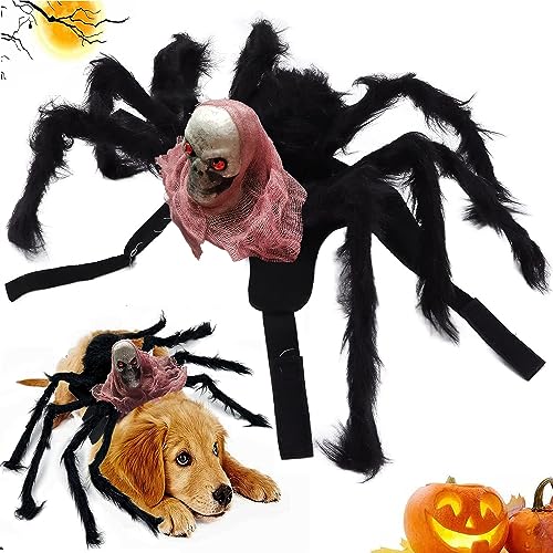 Halloween-Spinnen-Kostüme für Hunde, Halloween Spinnenkostüm für Hund Katze,Hundekostüm Halloween Katze, Spinnenkostüm für Kleine mittelgroße Hunde und Katzen (Schwarz L) von BUKYCAT