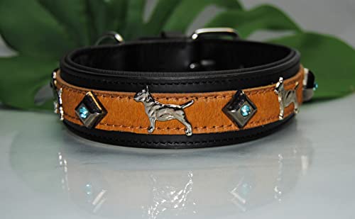 Bullterrier Lederhalsband schwarz / Kuhfell Kristall 50cm x 4cm beige von BULLYZEI