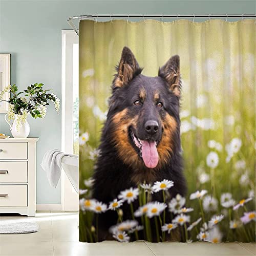 BUMIYA Hunde Duschvorhang 180x180 Anti-Schimmel Waschbar Niedliche Haustiere Shower Curtain Anti-Schimmel Anti-Bakteriell 3D Digitaldruck Waschbar Badewanne Vorhang mit 12 Duschvorhangringen von BUMIYA