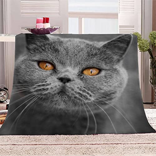 Katze Kuscheldecke Flanell Mikrofaser 3D Kuscheldecke Baby 70x100 cm Braunes Tier Waschbar Fleecedecke Wohndecke Weiche Warme Babydecke Flauschige Blanket von BUMIYA