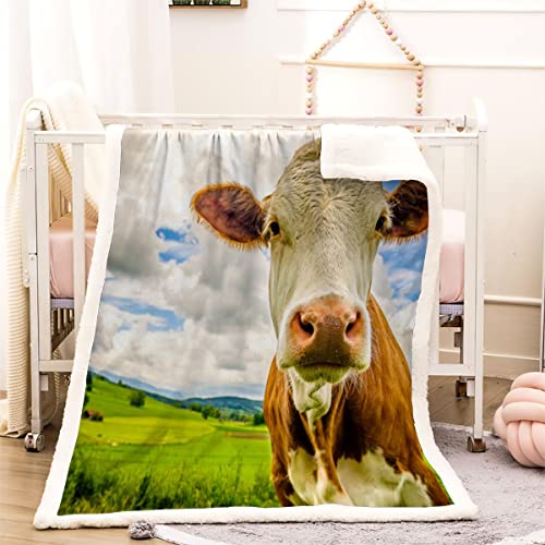 Kuh-Muster Kuscheldecke Flanell Mikrofaser 3D Kuscheldecke Erwachsener 150x200 cm Lustige Kühe Leichte Winter Warme TV Decke Wohndecke Flanell Decke Fleecedecke Sofadecke Bettüberwurf von BUMIYA