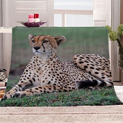 Kuscheldecke Erwachsener 150x200 cm 3D Gepard Leichte Winter Warme TV Decke Schwarz-beige Flecken Wohndecke Flanell Decke Microfaser Fleecedecke Sofadecke Bettüberwurf von BUMIYA