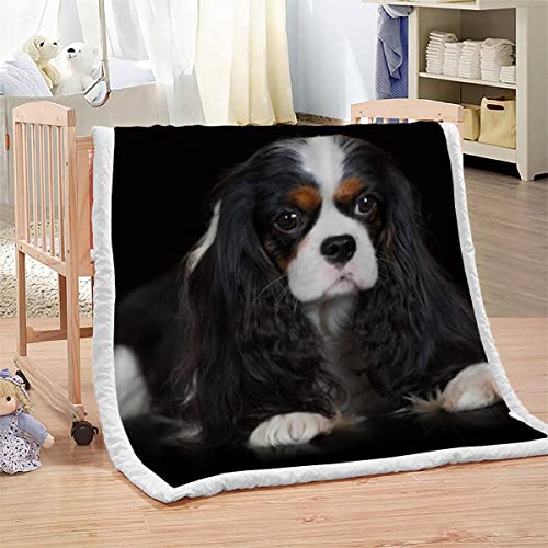 Kuscheldecke Erwachsener 150x200 cm 3D Hund Tier Leichte Winter Warme TV Decke Cavalier King Charles Spaniel Wohndecke Flanell Decke Microfaser Erwachsene Fleecedecke Sofadecke Bettüberwurf von BUMIYA