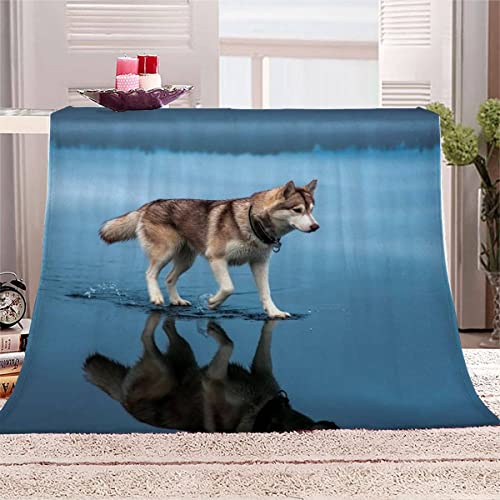 Kuscheldecke Extra Groß 180x220 cm 3D Schlittenhund Weiche Warme Flauschige Sofadecke Wohndecke Husky Hund Flanelldecke Tagesdecke Waschbar Microfaser Fleecedecke von BUMIYA