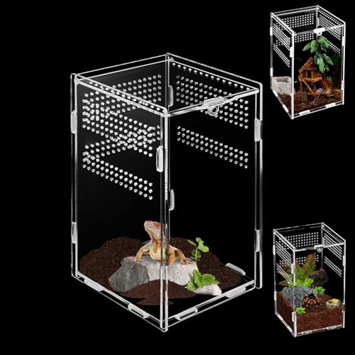 Acryl Terrarium(20cm*12cm*10cm),Mini Terrarium,Springspinne Terrarium,Terrarium Schnecken,Reptilien Fütterungsbox Geeignet für Spinne,Eidechsen,Schnecken,Käfer von BUOSHUO