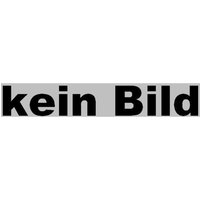 Burg - Resett Nadel für Möbelschloss - passend zu Schloss mit Zahlencode Intro.Code Burg - Resett Nadel für Möbelschloss - passend zu Schloss mit Zahlencode Intro.Code von BURG