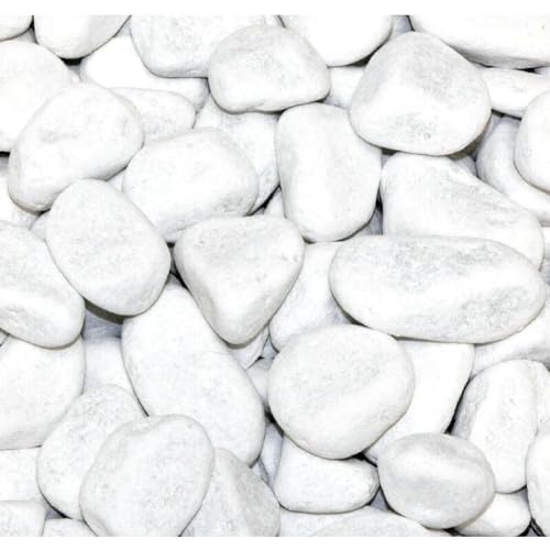 BURI 10kg Marmorkies Carrara weiß 15-25mm Dekosand Ziersteine BURI 10kg Marmorkies Carrara weiß 15-25mm Dekosand Ziersteine von BURI