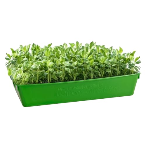 BURI 1x Profi Gärtnerbox Pflanzschale Pikierschale Hellgrün 58x32x11cm Pflanzwanne Blumenkasten Anzuchtwanne eckig Saatschale - robust, wetterfest, frostfest von BURI