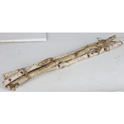 BURI 4er Set Birkenzweige 80cm lang Dekoration Natur Äste Frühling basteln BURI 4er Set Birkenzweige 80cm lang Dekoration Natur Äste Frühling basteln von BURI