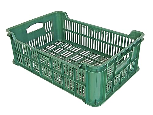 BURI 5 Stück Gemüsekiste Obstkiste Stapelkisten ca. 40x20x60cm Apfelkiste frisches Gemüse Kisten Stapelbar Kartoffel Aufbewahrung Speisekammer BURI 5 Stück Gemüsekiste Obstkiste Stapelkisten ca. 40x20x60cm Apfelkiste frisches Gemüse Kisten Stapelbar Kartoffel Aufbewahrung Speisekammer von BURI