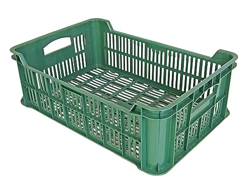 BURI 5x Lagerkiste Gemüsekiste 60x40x20cm - Obstkiste Kartoffelkiste Transportkiste stapelbar, robust - 5er Set Kunststoffkiste Kiste zur Lagerung in grün von BURI