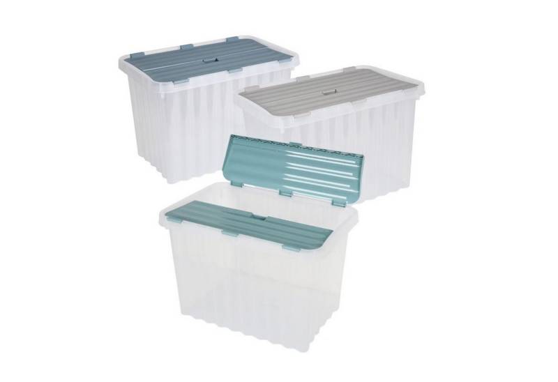 BURI Aufbewahrungsbox Wellenbox 24L 43x30x30cm Transparent Deckel Aufbewahrungsbox (1 St) von BURI