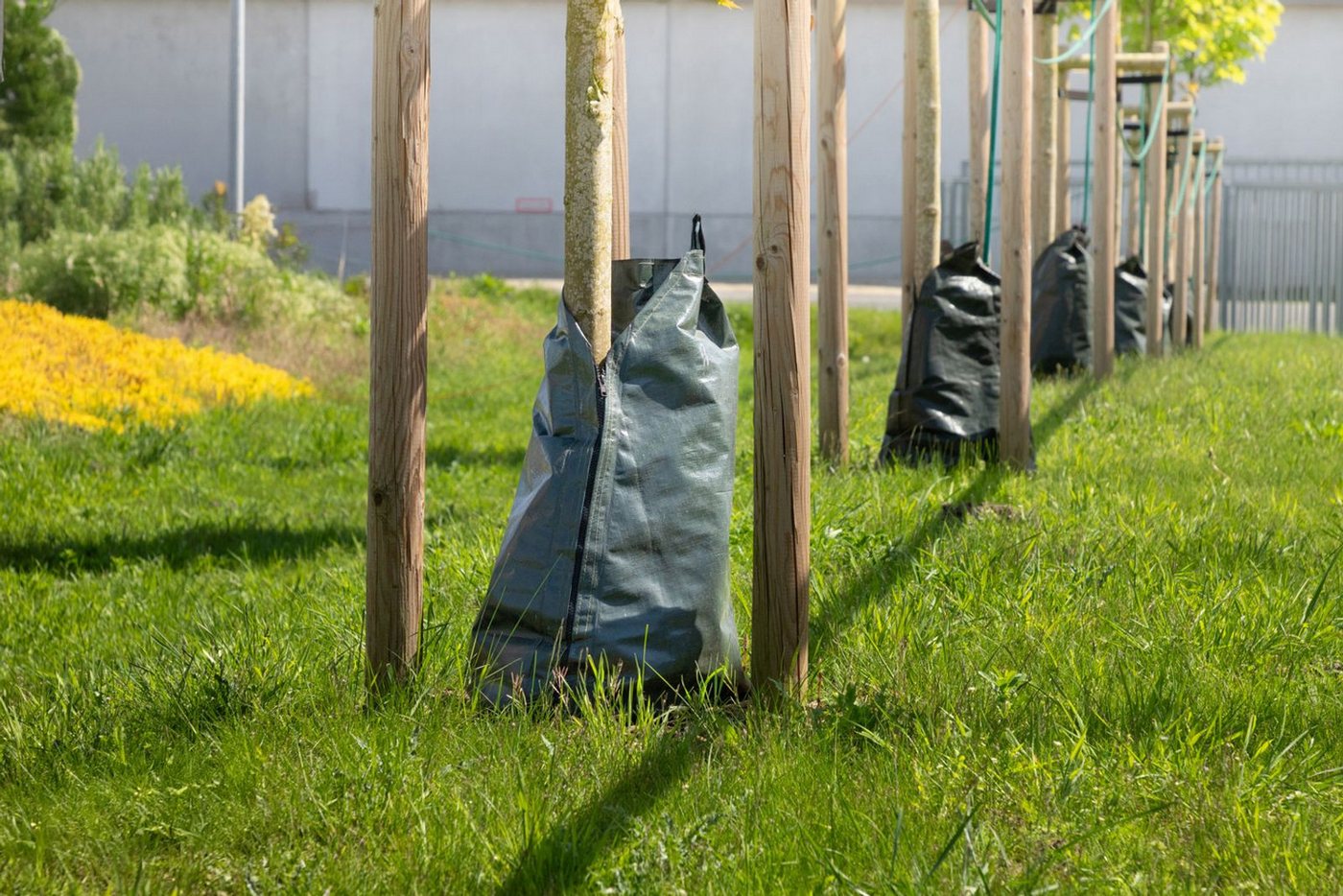 BURI Bewässerungssystem Baum-Bewässerungssack mit Reißverschluss Baumbewässerung Wassersack BURI Bewässerungssystem Baum-Bewässerungssack mit Reißverschluss Baumbewässerung Wassersack von BURI