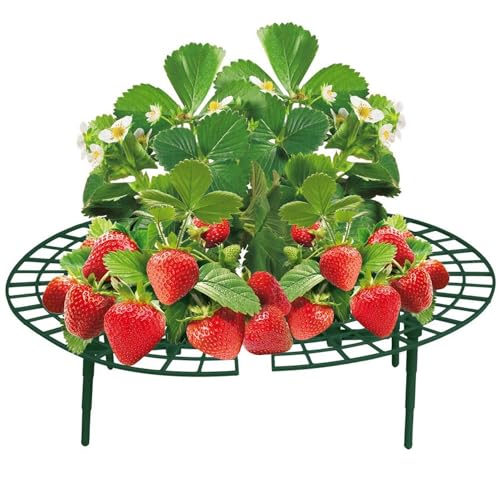 BURI 5 Stück Erdbeerreifer grün 30x9cm Kunststoff Garten Zubehör Schneckenschutz Erdbeeren Pflanzen Rankhilfe Garten Pflanzenständer Schneckenkragen Erdbeerturm Rankgitter Stütze Erdbeerschutz Schutz von BURI