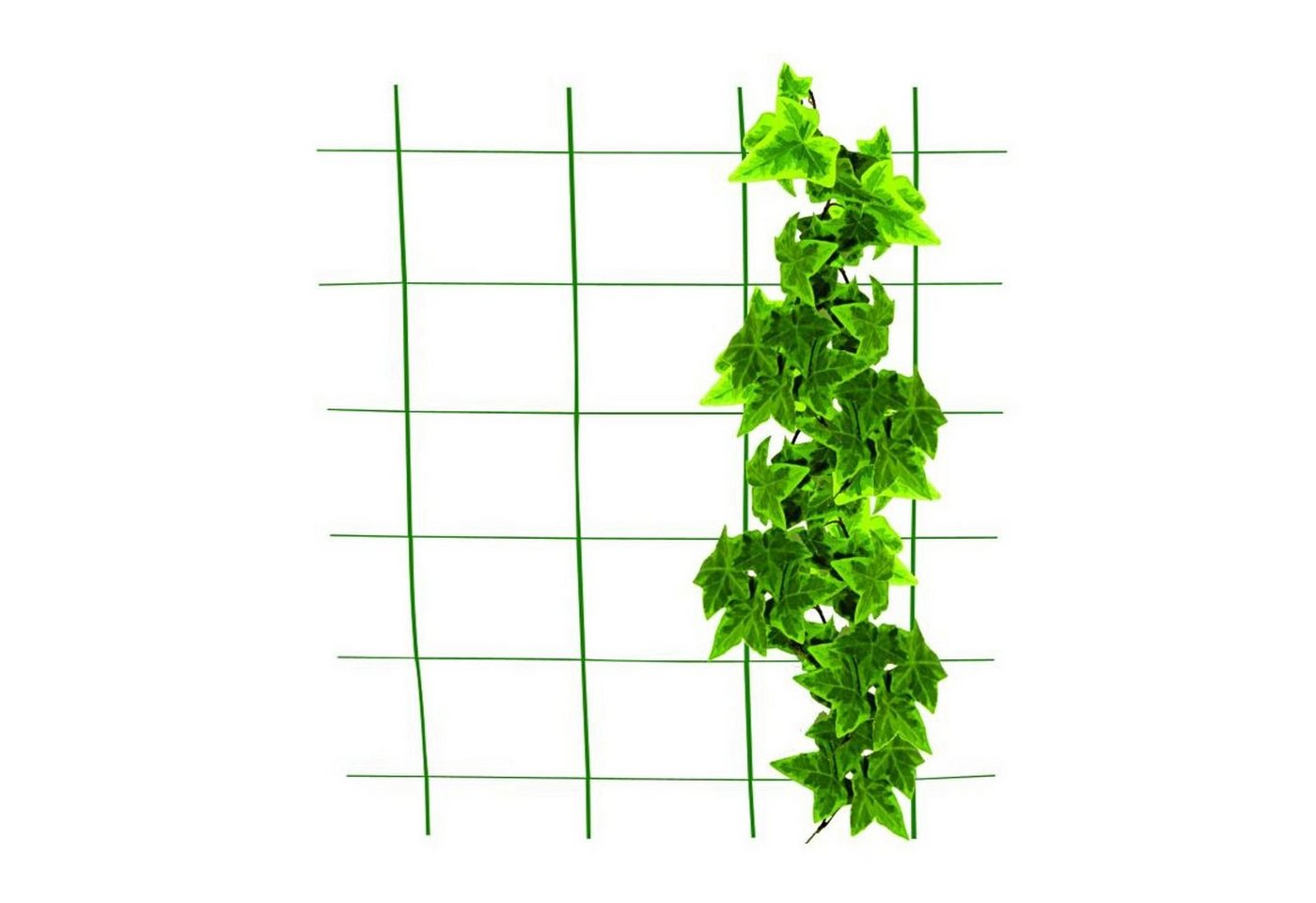 BURI Rankhilfe 12x Metall Rankgitter 150cm Wandspalier Sichtschutz Kletterpflanzen Hi von BURI
