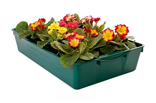 BURI Universal Gärtnerbox Pflanzschale 58x32x11cm Anzuchttopf grün Pflanzwanne Blumenkasten Anzuchtschale eckig Profi Saatschale - robust, wetterfest, frostfest, Menge:1 Stück von BURI