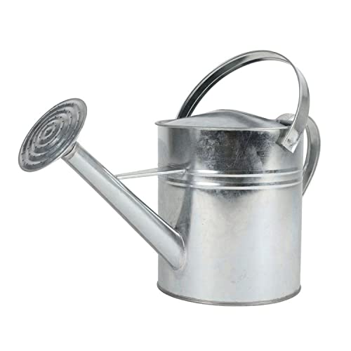 BURI Zink Gießkanne 5L mit Henkel Giesskanne verzinkt - Garten Gießkanne Blumengießkanne Wasserkanne - dekorative 5 Liter Kanne in Silber ideal als Geld Geschenk von BURI