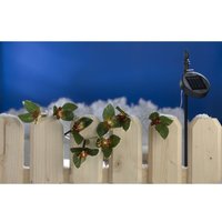 Buri - led Solar-Lichterkette Ilex Stechpalme Girlande Weihnachtsdeko Balkondeko Buri - led Solar-Lichterkette Ilex Stechpalme Girlande Weihnachtsdeko Balkondeko von BURI