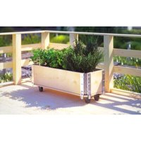 Buri - Kräuterbox Holz Rollen Pflanzen Blumen Topf Anzucht Balkon Gemüse Garten Beete von BURI