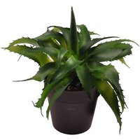 Künstliche Aloe Vera 18cm im Blumentopf Kunstpflanze Zimmerpflanze Dekopflanze von BURI