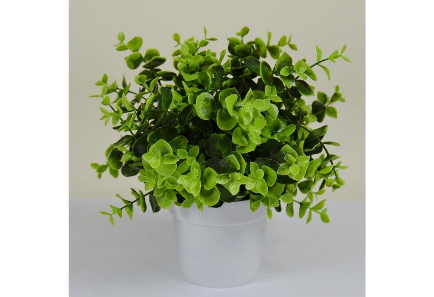 Kunstpflanze 12 Stück künstliche Pflanze im Kunststofftopf 22cm Dekoration Pflanzen, BURI von BURI