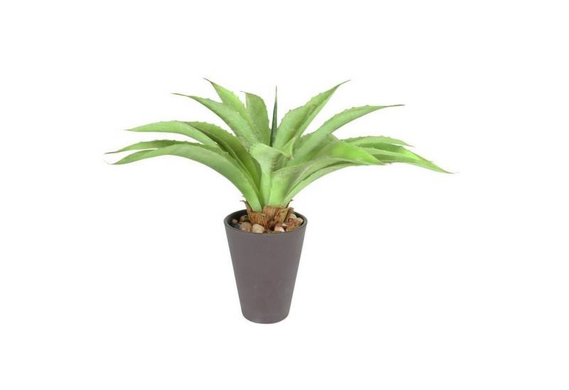 Kunstpflanze Künstliche Aloe Vera im Kunststofftopf 23cm Kunstpflanze Zimmerpflanze, BURI von BURI