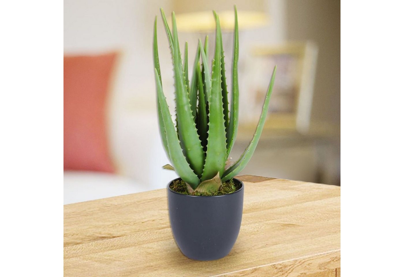 Kunstpflanze Künstliche Aloe Vera im Topf 45cm Kunstpflanze Dekopflanze Blumentopf, BURI von BURI