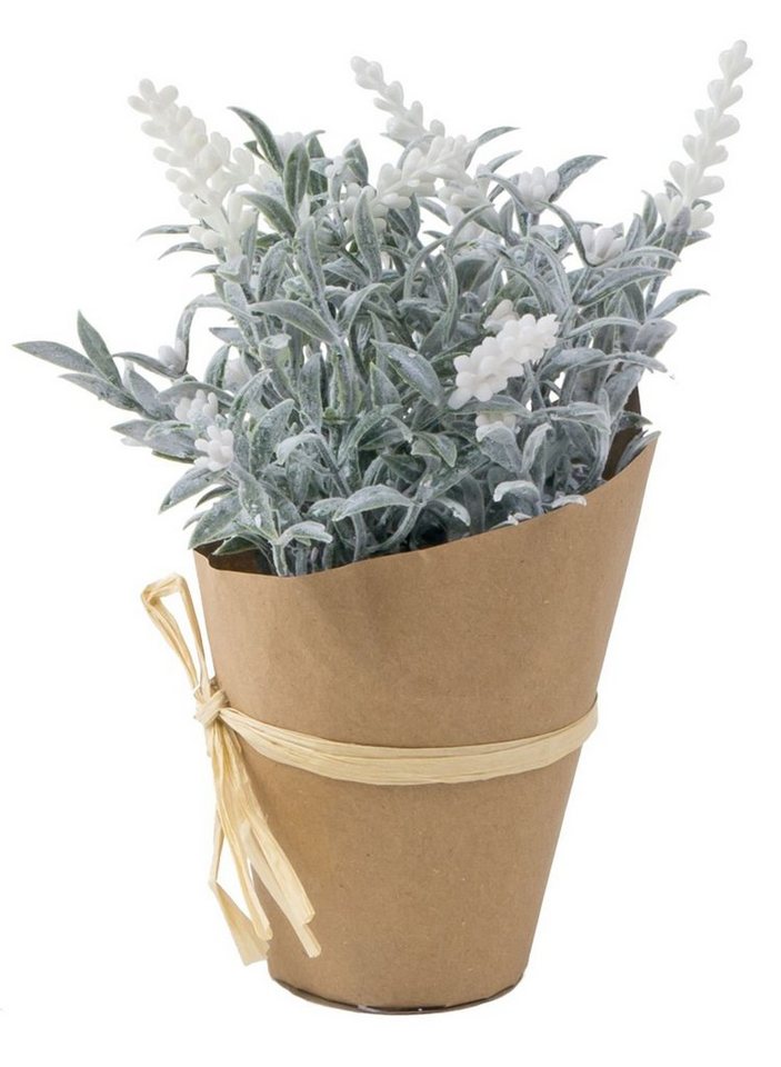 Kunstpflanze Künstlicher Lavendel mit Übertopf 22cm Kunstblume Kunstpflanze, BURI von BURI