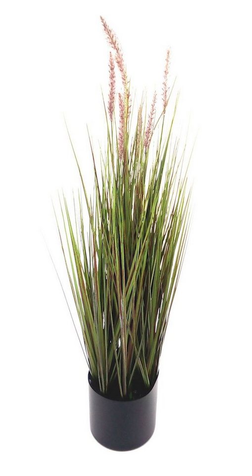Kunstpflanze Künstliches Pampas-Gras 122cm Dekogras Grashalm Kunstpflanze Zimmerpfl, BURI von BURI