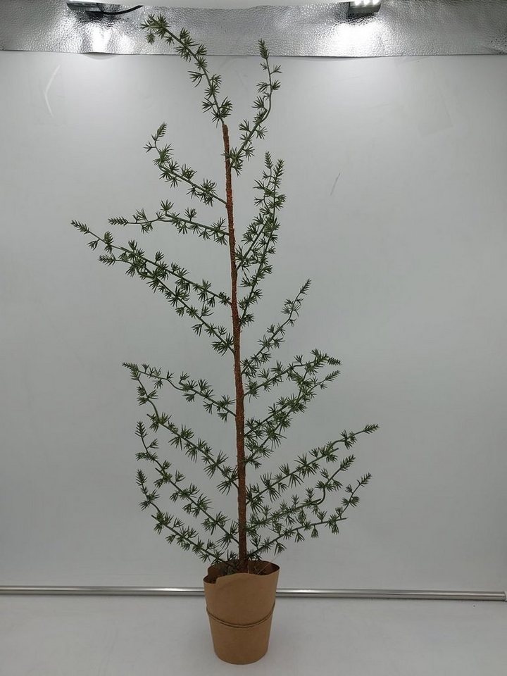 Kunstpflanze Zeder im Topf 80cm künstliche Pflanze Weihnachtsdeko Kunstpflanze, BURI von BURI