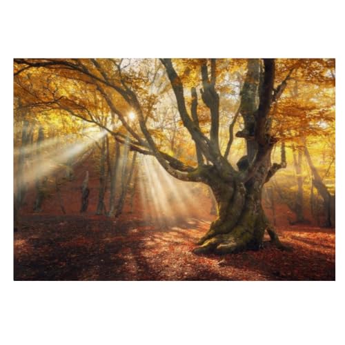 BURUNG Wandbilder Alter Baum（250cm×175cm） Gelbe Waldlandschaft 3D-Wandeffekt Deko Wohnzimmer Ornament pvc Wanddekoration für Schlafzimmer Gang Büro Dekorieren von BURUNG