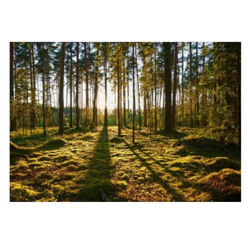 BURUNG Wandbilder Wald Sonnenschein（250cm×175cm） Pflanzenwald 3D-Wandeffekt Deko Wohnzimmer Ornament pvc Wanddekoration für Schlafzimmer Gang Büro Dekorieren von BURUNG