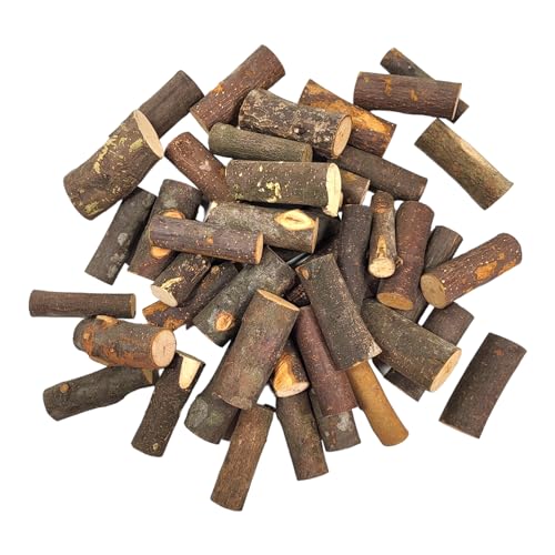 BUSDUGA 4408 Aststäbe zum basteln und dekorieren, unbehandeltes Holz, Naturholz (4kg) von BUSDUGA
