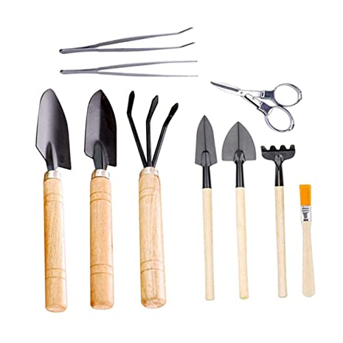 BUTIFULSIC 10Stücke Mini Gartenwerkzeug Teilig mit Holzgriffen Ergonomische Handwerkzeuge für Bonsai und Sukkulentenpflege und Langlebig für Gartenliebhaber von BUTIFULSIC