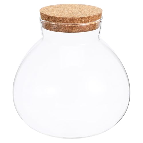 BUTIFULSIC Glasflasche für Miniatur Landschaften Transparentes Pflanzenglas mit Korken für Kreative Dekoration für Wohnzimmer Schlafzimmer Büro von BUTIFULSIC